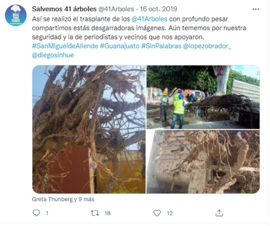 Así se realizó el trasplante de los arboles de la avenida Guadalupe en el 2019